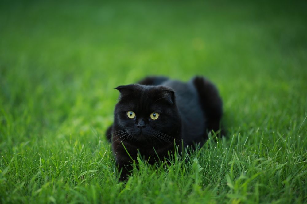 Photograph by Марина Юрченко