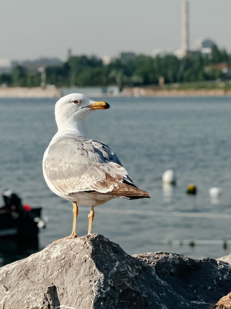 Фотография автора Асель Кузетова