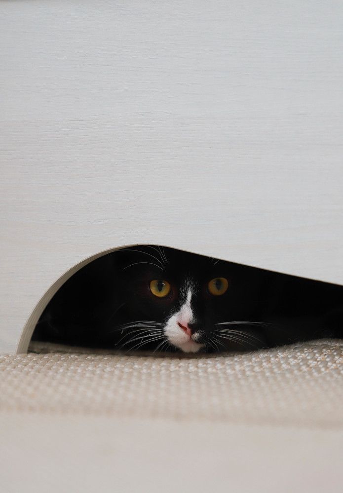 Photograph by Елена Сиднина