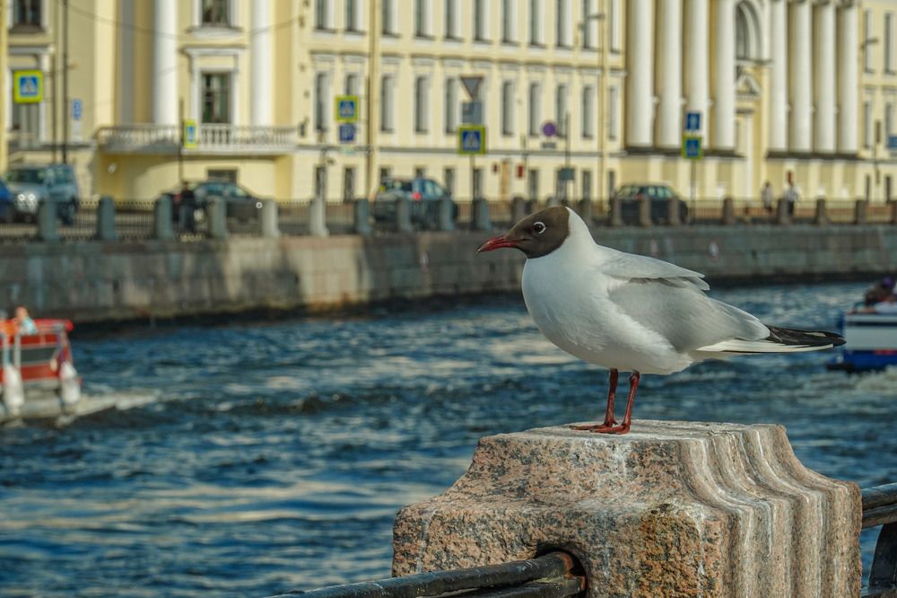 Photograph by Pavel Morozov