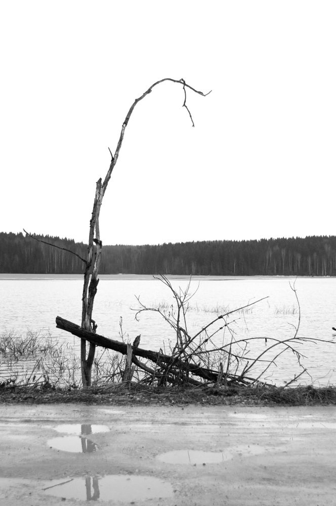 Photograph by Маргарита Гасец