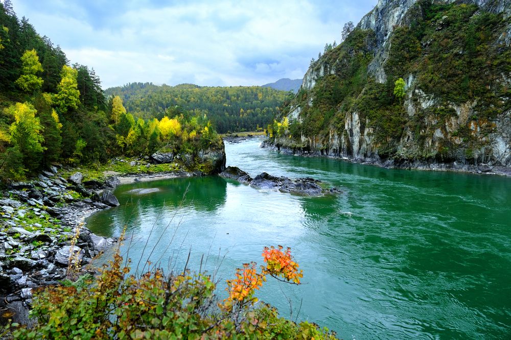 Бирюзовая Катунь. Ранняя осень.