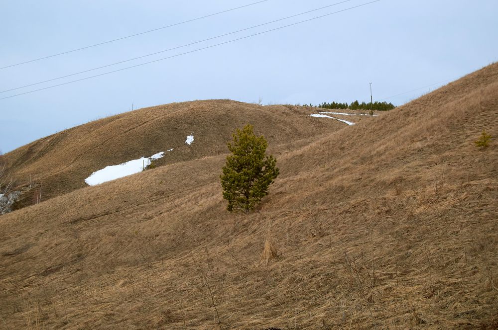 Photograph by Маргарита Гасец