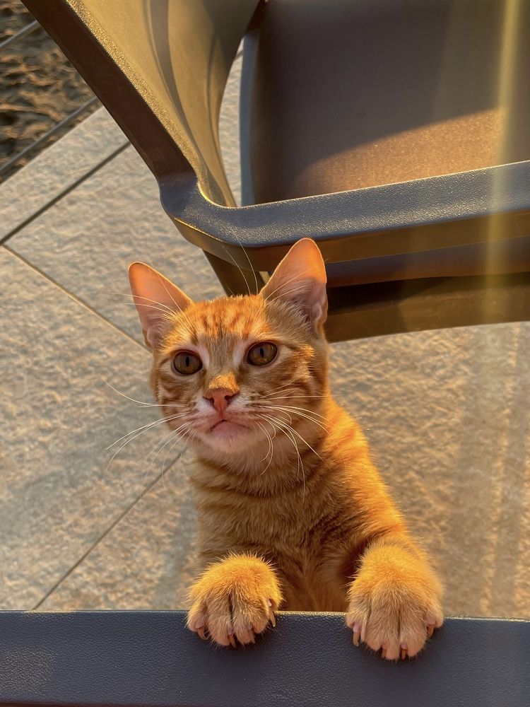 Photograph by Екатерина Мирошникова