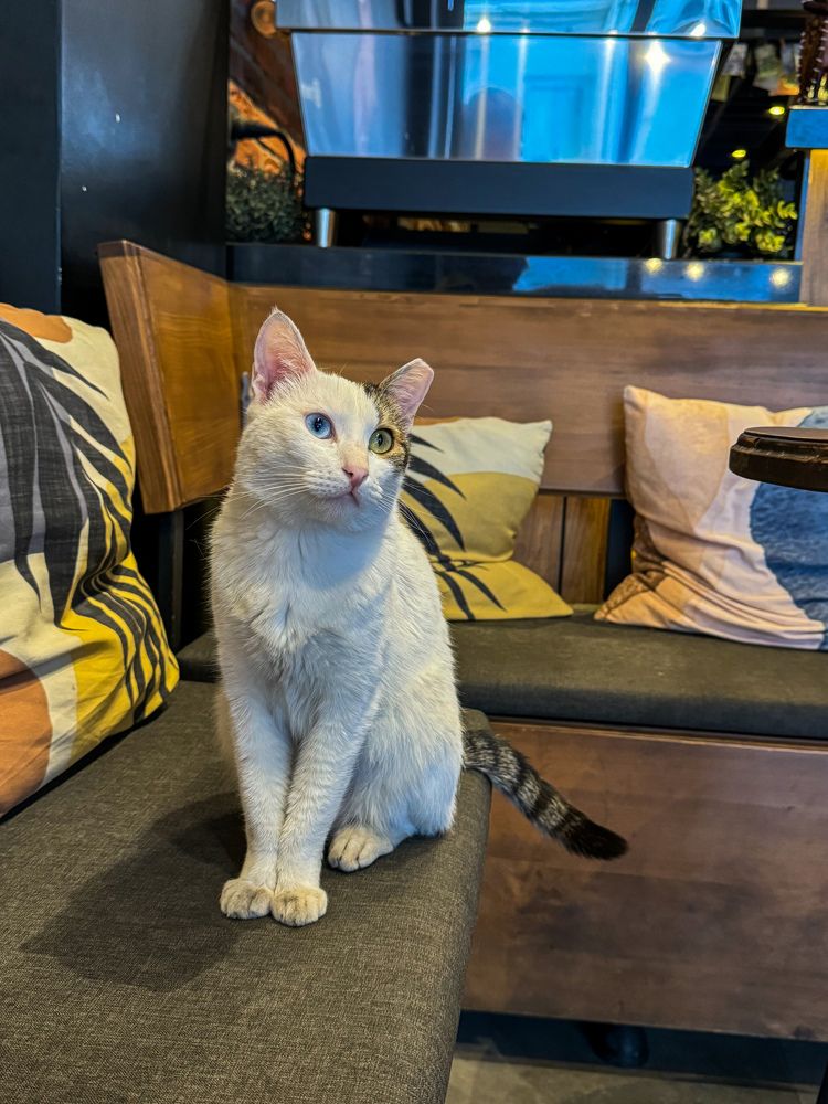 Photograph by Екатерина Мирошникова