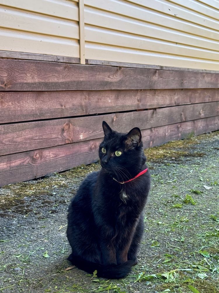 Photograph by Екатерина Мирошникова