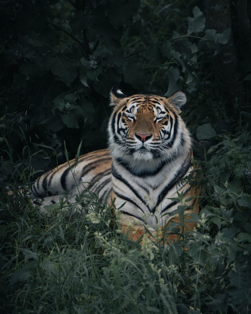 Photograph by Данил Шауба