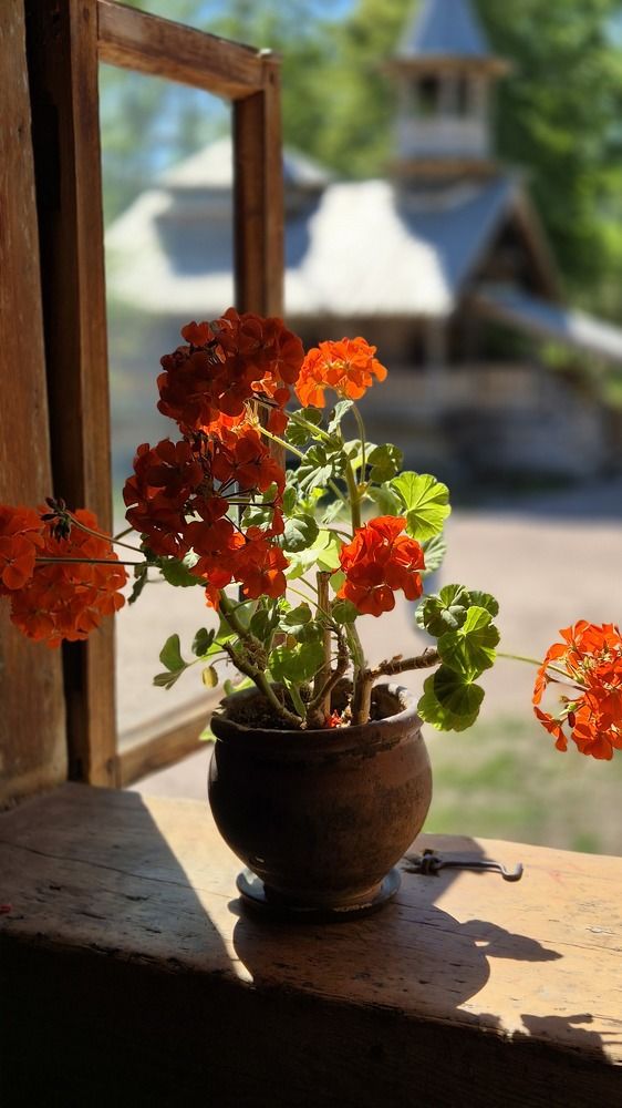 Photograph by Ирина