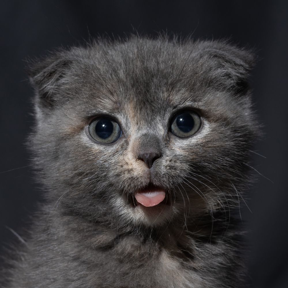 Photograph by Евгений Жуланов