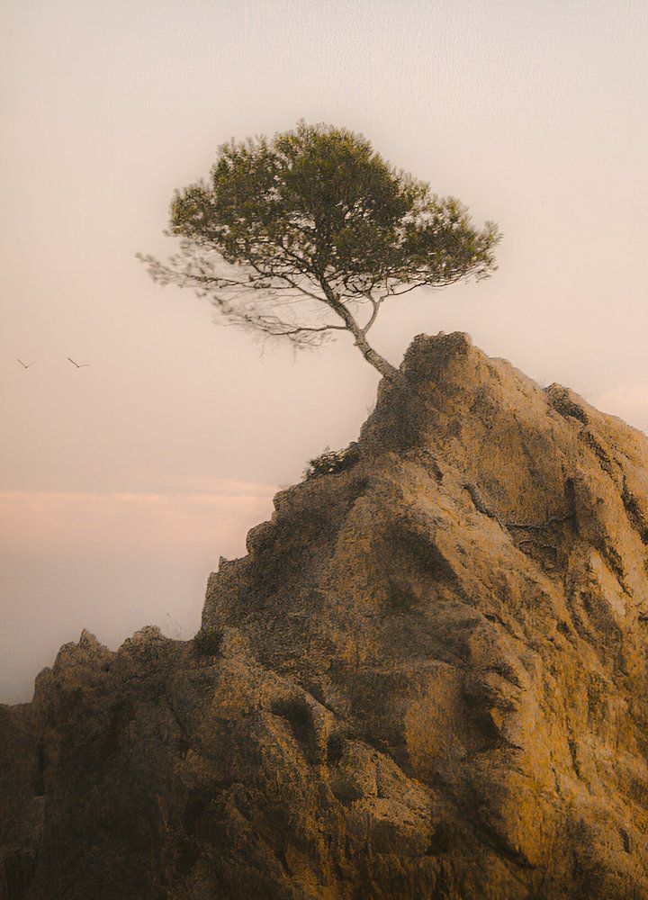 Photograph by Olga Sharikova