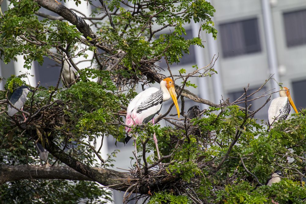 Photograph by HEE SENG FOO