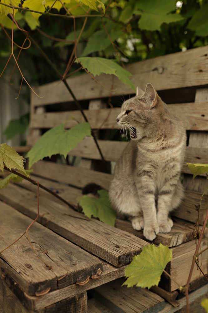 Photograph by Наталья Гусева