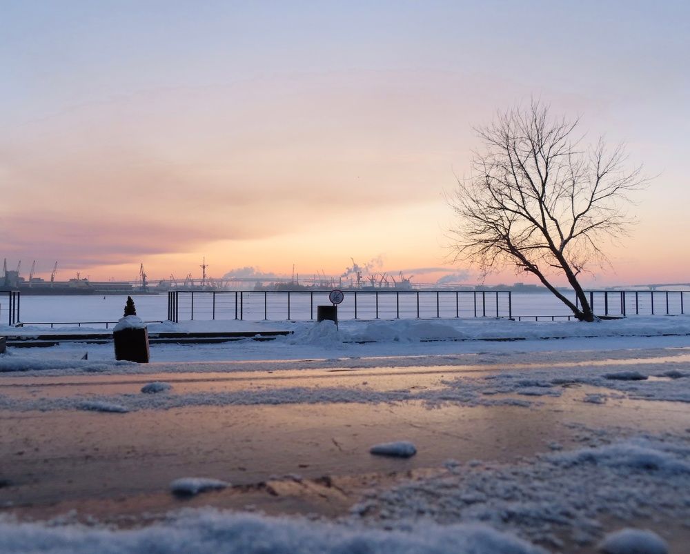 Photograph by Елена Жукова