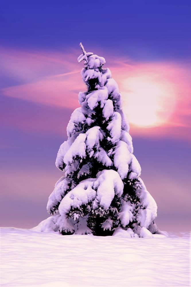 Photograph by Николай Протасеня