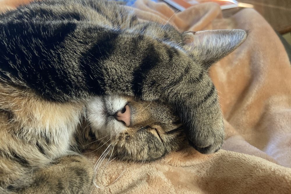 Photograph by Stephanie Stafford