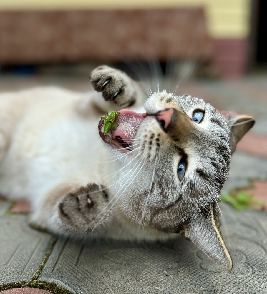 Photograph by Елена Карпухно