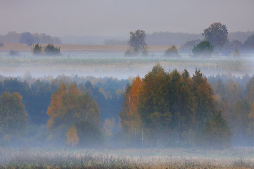 Туманные дали полесья.