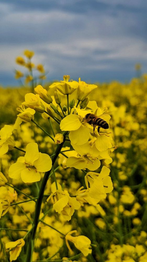 Photograph by Ольга