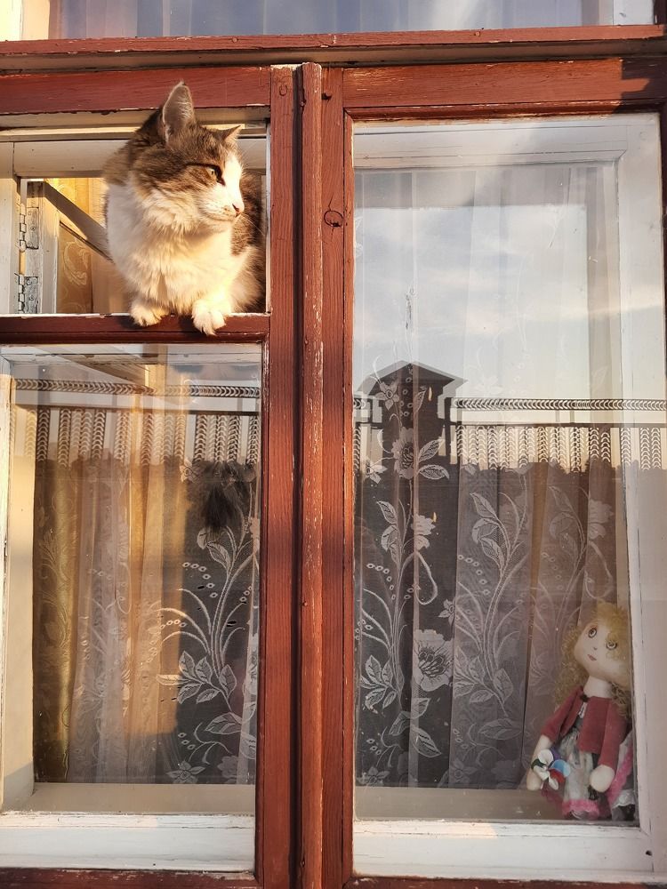 Два взгляда