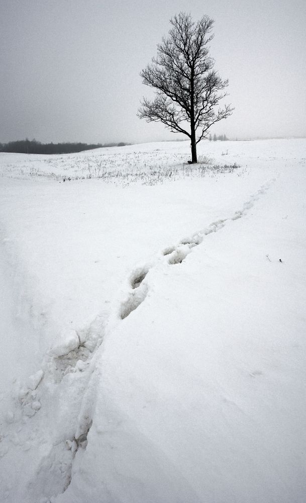 Photograph by Juris Buklovskis