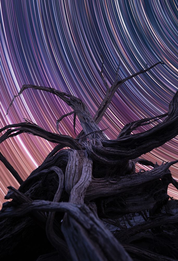 Photograph by Zhang Yujie