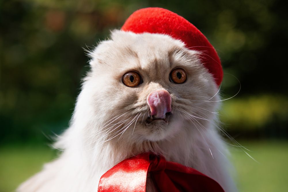 Photograph by Васильев Александр