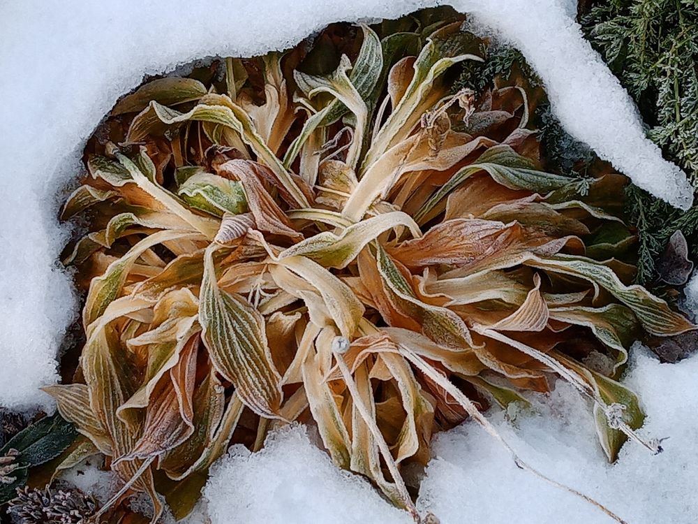 Photograph by Виталий Першин