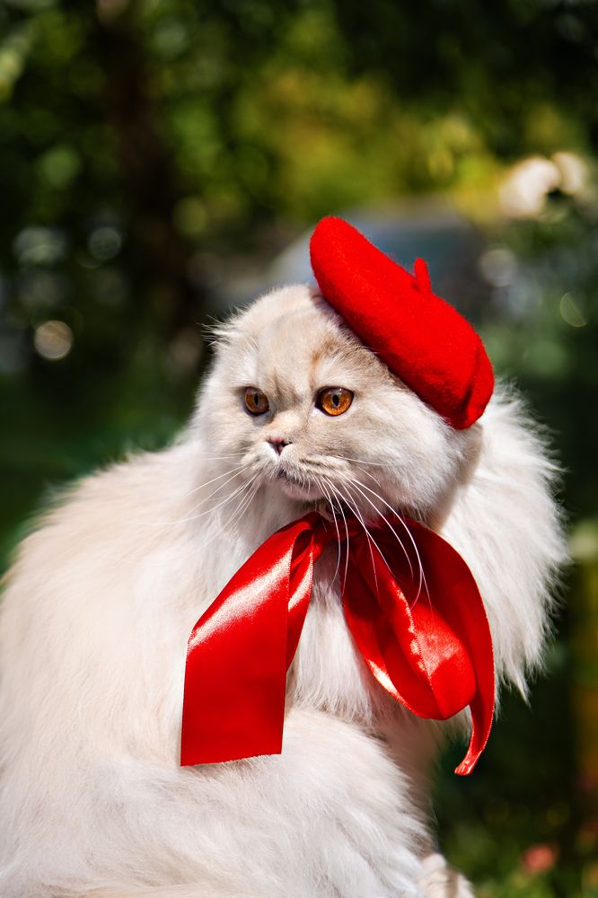 Photograph by Васильев Александр