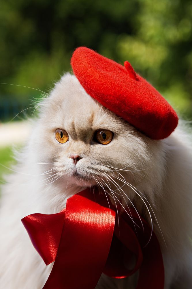 Photograph by Васильев Александр