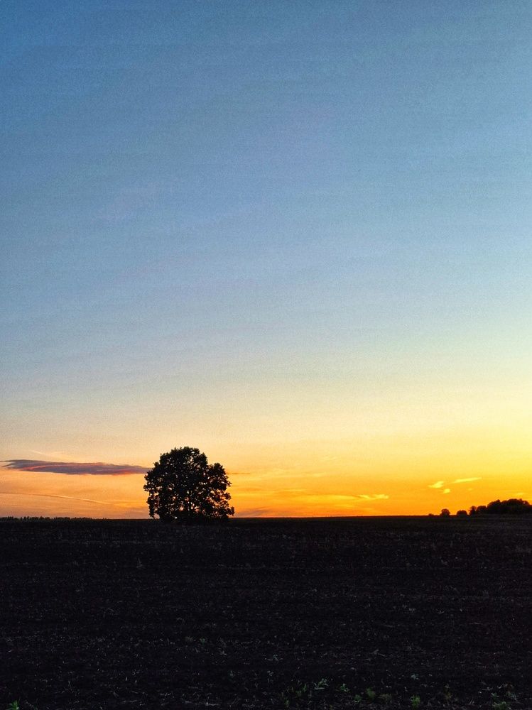 Photograph by Катерина Солдатова