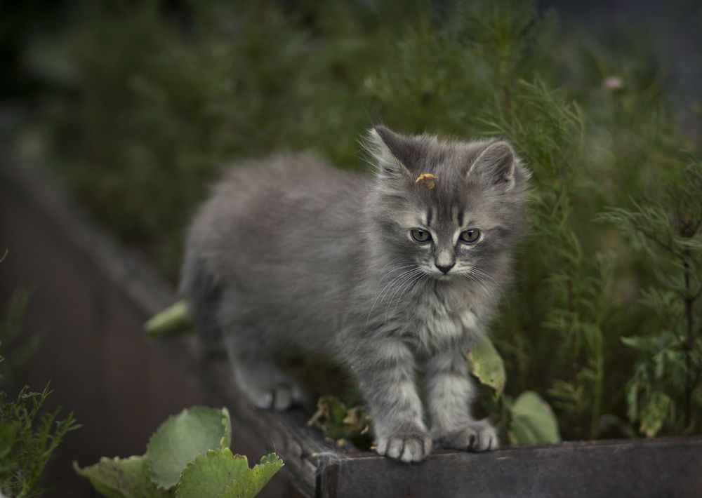 Photograph by Зимина Лионелла