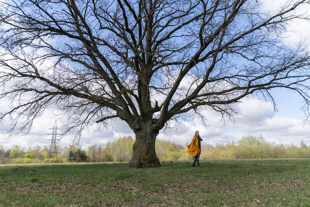 Photograph by Елена Мышковская