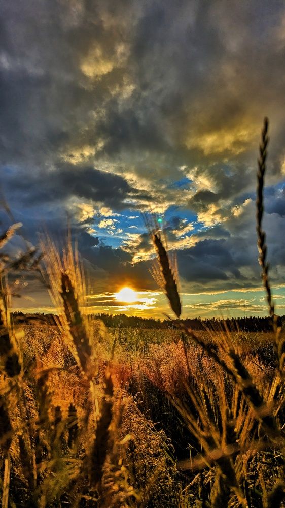 Photograph by Ольга Трухан