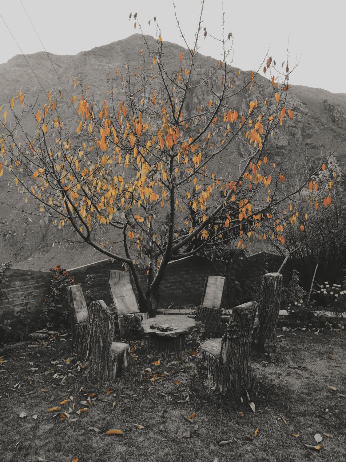 Autumn