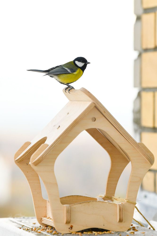 Фотография автора Алена Ковалёва