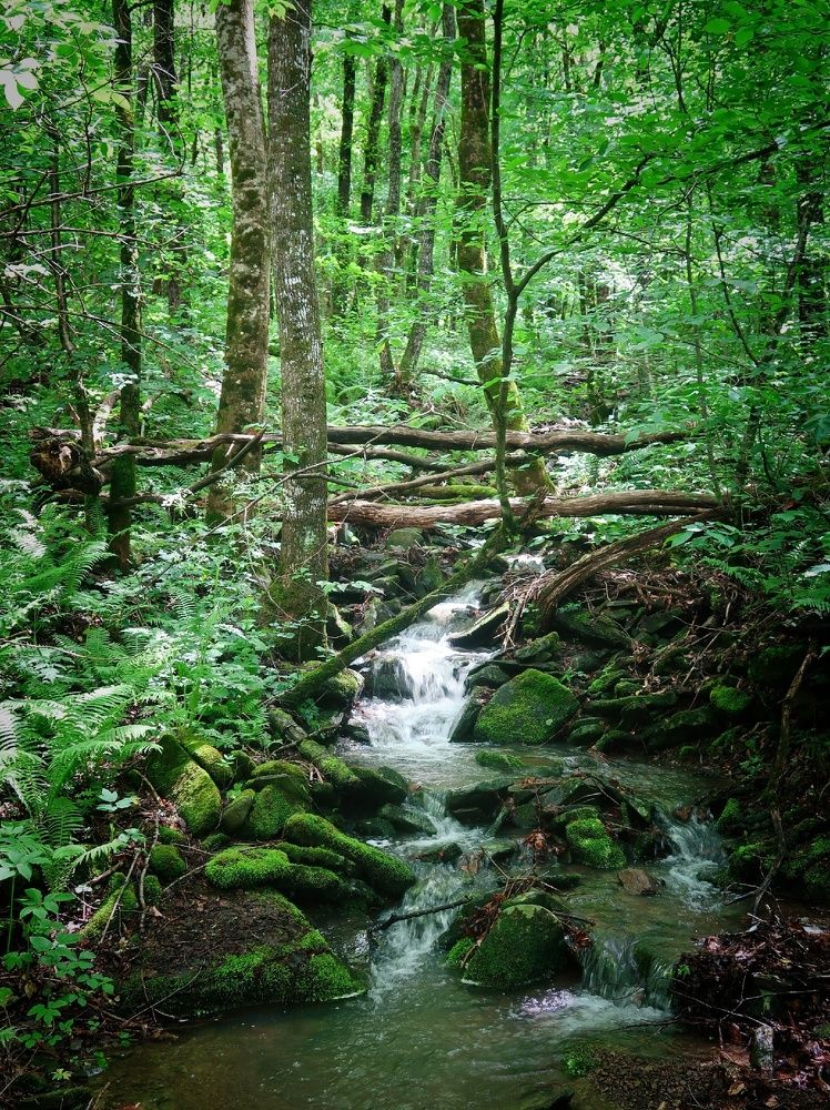 Photograph by Александра