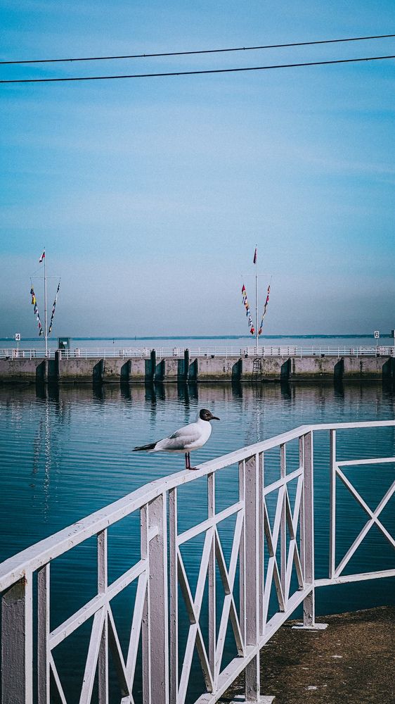 Photograph by  Ирина