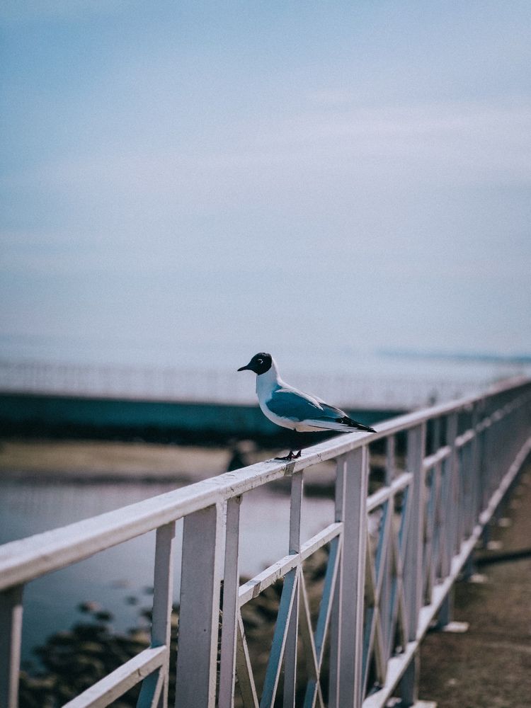 Photograph by  Ирина