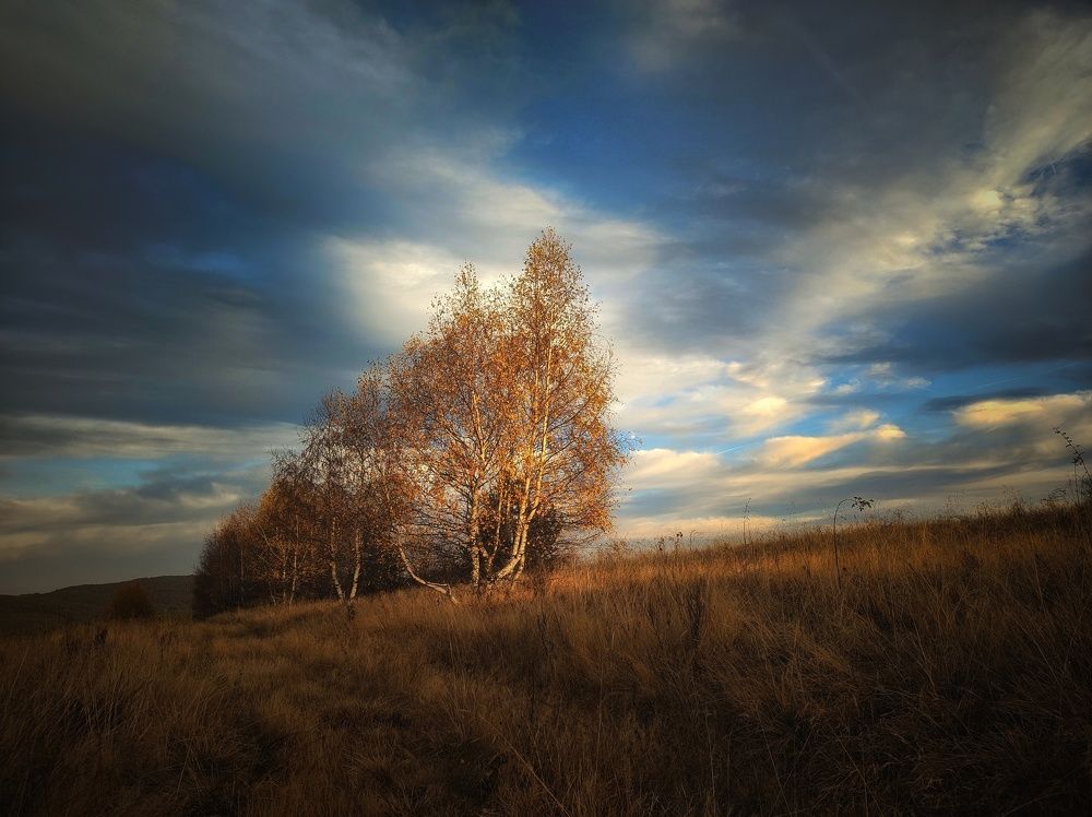 Фотография автора Юлияна Стоянова