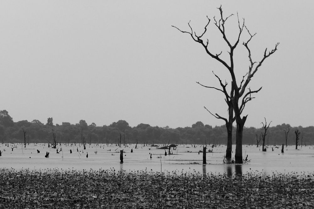 Photograph by Sao Phanni