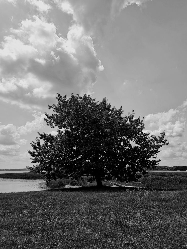 Photograph by Ksenija Bartoško