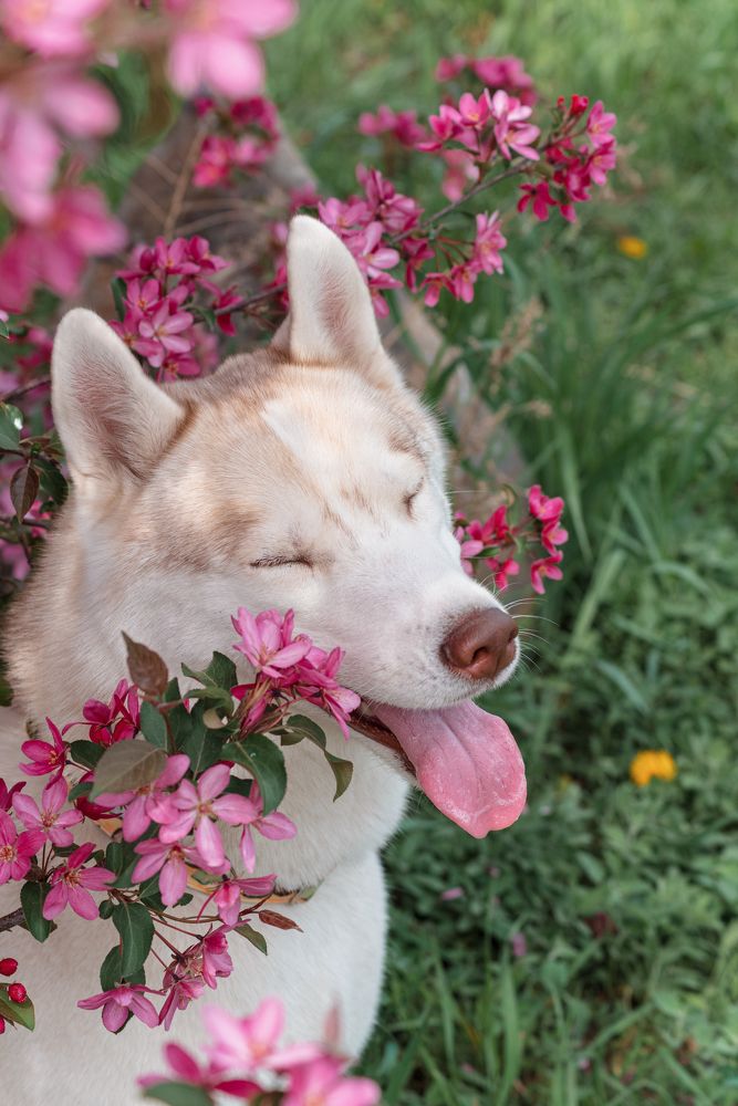 Photograph by Валерия Васина