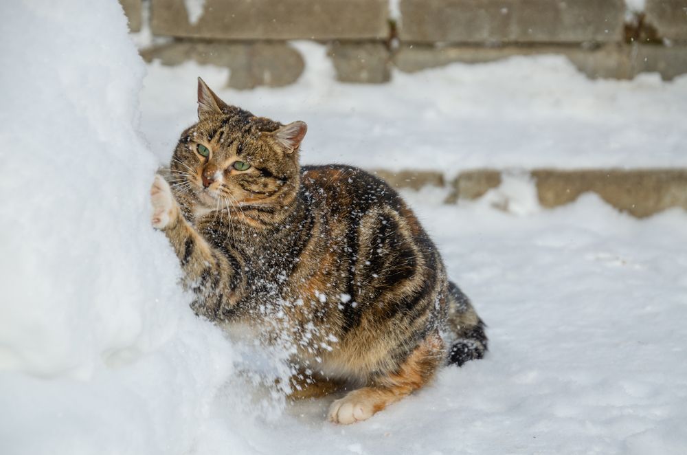 Photograph by Анастасия Григорян