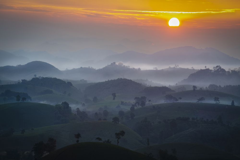 Photograph by Banu Nazikcan