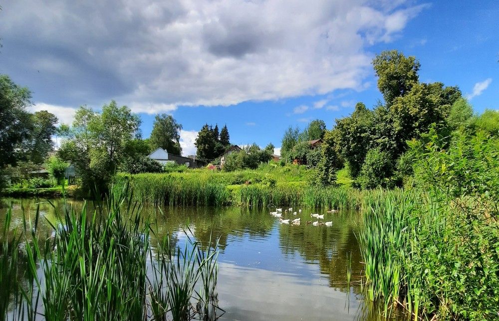 Photograph by Жанна Нечаева