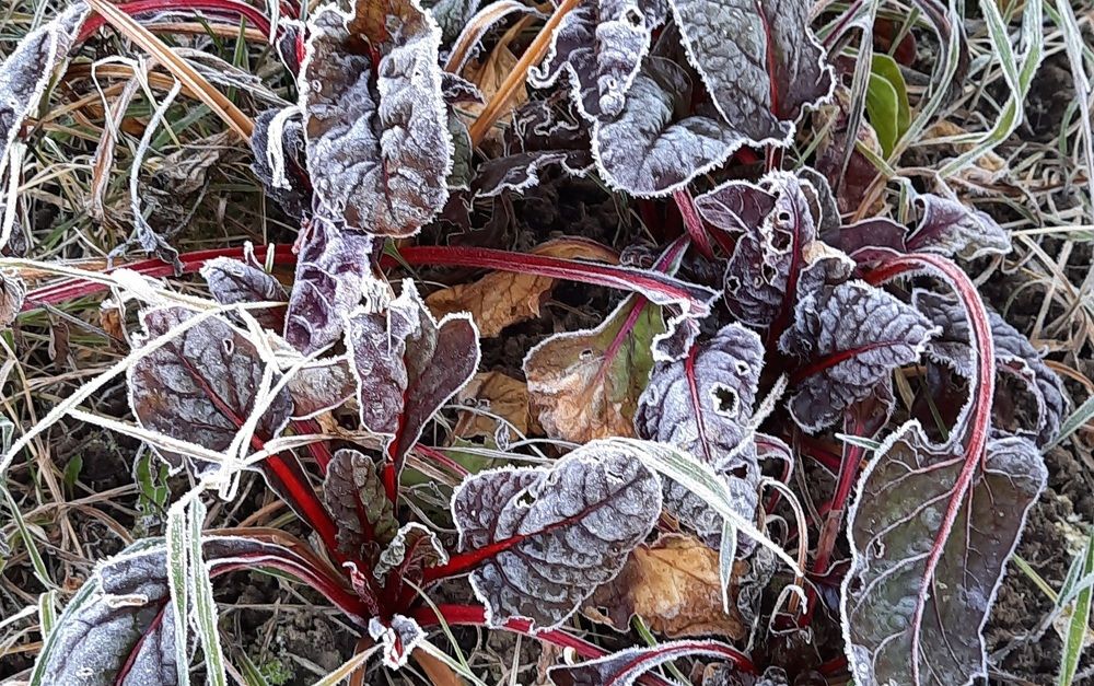 Photograph by Жанна Нечаева