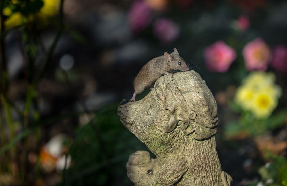 Photograph by Александр