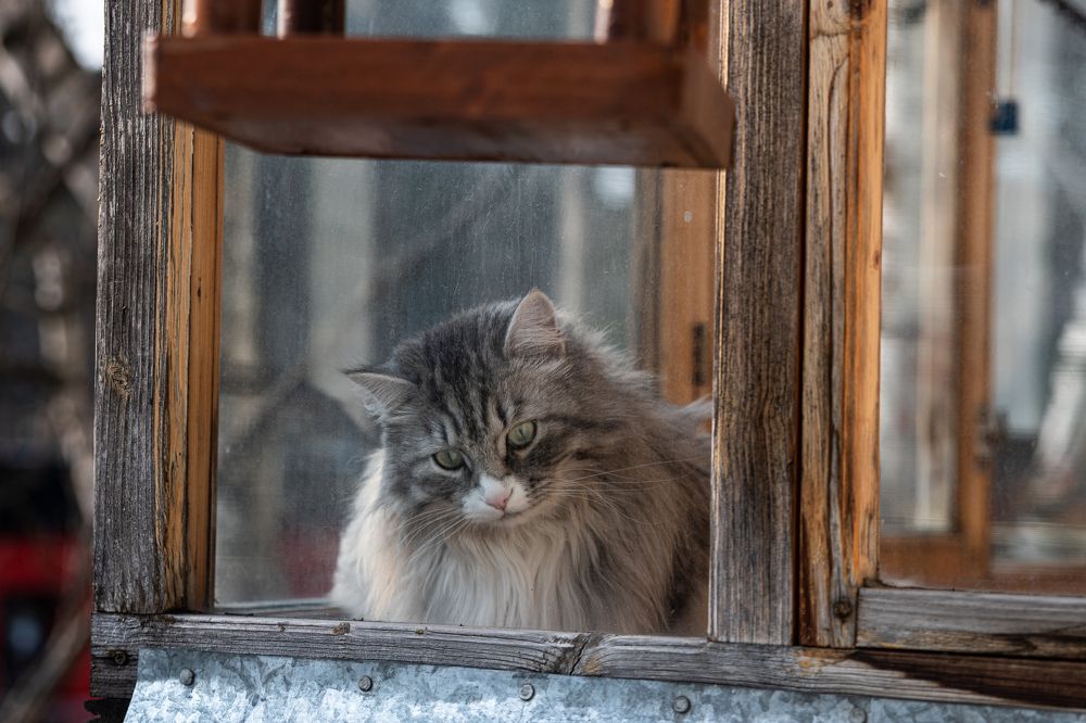 Photograph by Анастасия Григорян