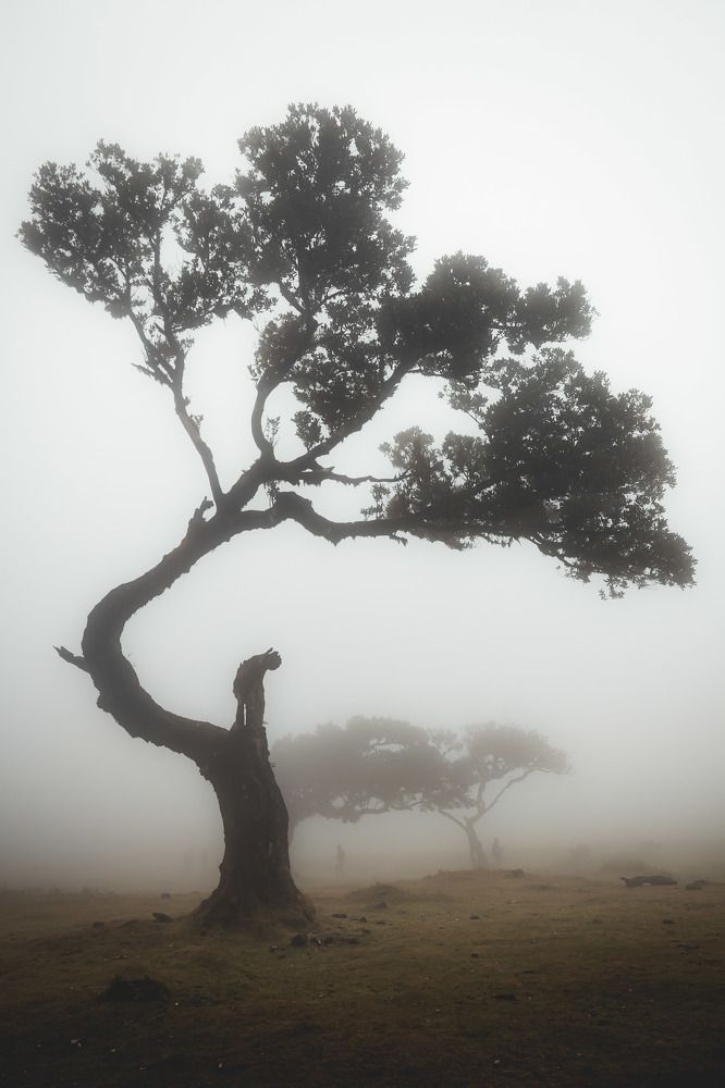 Фотография автора Konstantin Shendel