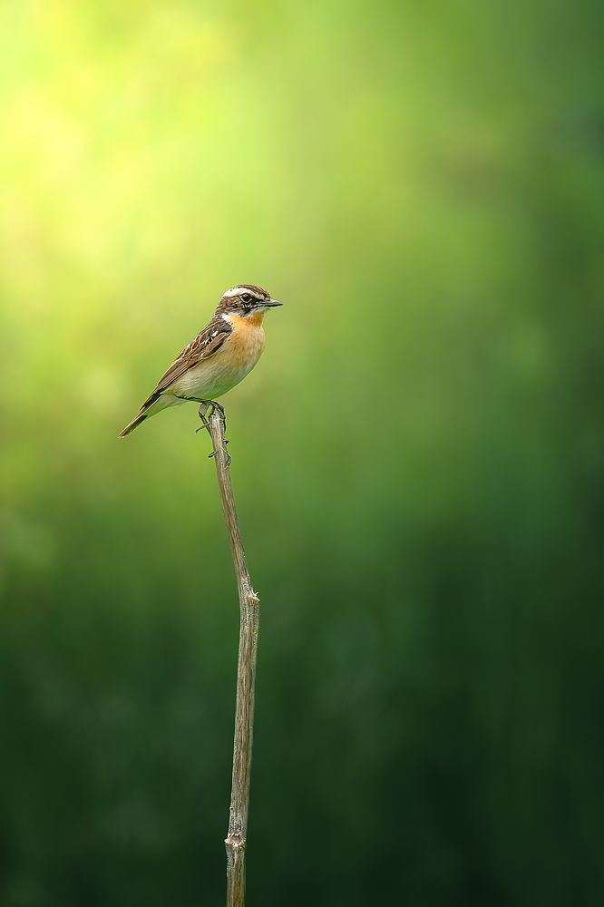 Photograph by Александр Соловьев